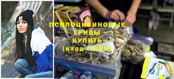 ПСИЛОЦИБИНОВЫЕ ГРИБЫ Богданович