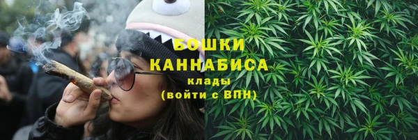 ПСИЛОЦИБИНОВЫЕ ГРИБЫ Богданович