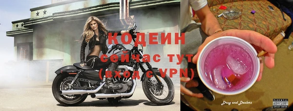шишки Богородск