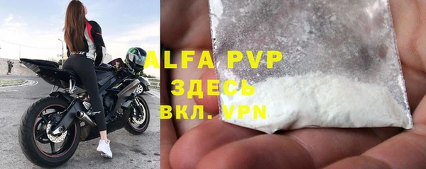 ПСИЛОЦИБИНОВЫЕ ГРИБЫ Богданович